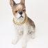 New Gold Dog Chain Collar with Secure Buckle - 15MM Stainless Steel Cuban Link - Luxury Necklace for Small Medium &