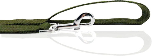 Nylon Dog Leash, 10 Feet Long, Walking Training Leash for Medium Large Dogs, 1 Inch Wide, Green