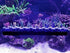 Oceans Wonders N52 Mag Rack Pro, Magnetic Coral Frag Rack Holds Up to 30 Frag Plugs
