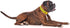 Nervous (Give Me Space) Yellow Colour Coded S-M L-XL Dog Collars Prevents Accidents by Warning Others of Your Dog in Advance (L-XL)