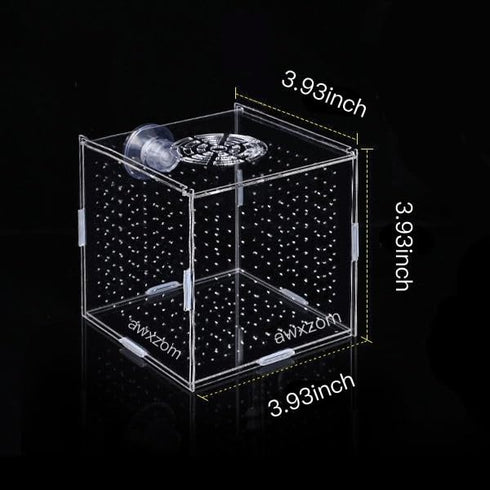Acrylic Fish Breeding Box, Isolation Box with Suction Cups for Small Baby Fishes and Shrimp