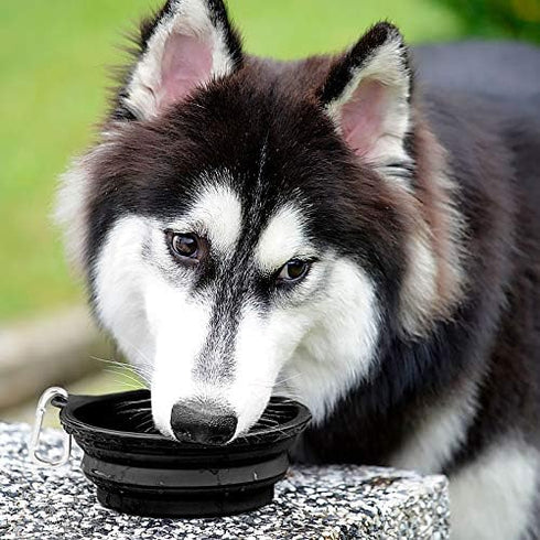 Kytely Large Collapsible Dog Bowls 2 Pack, 34oz Portable Dog Water Food Bowl with Clasp for Traveling