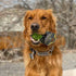 Hyper Pet DuraSqueak Dog Ball Toy - Interactive, Floats, Squeaks, for Fetching, Alternative to Traditional Tennis Balls