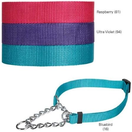 Guardian Gear Adjustable Martingale Choke-Style Dog Collar, Pink, 13-18 Inch
