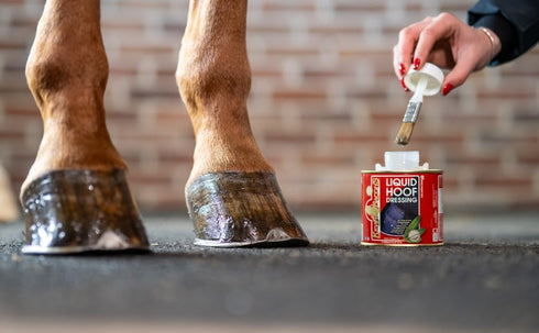 Kevin Bacon's 500ml Kevin Bacon Liquid Dressing Hoof Oil Clear