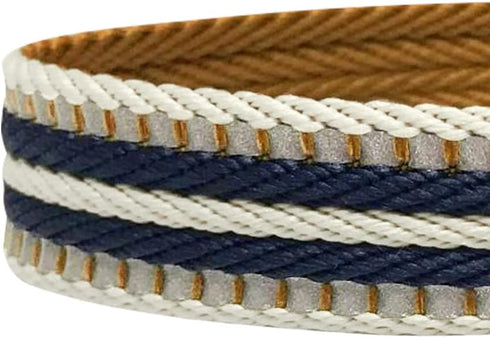 Blueberry Pet 3M Reflective Nylon Dog Leash with Soft Handle, Multi-Colored Stripe, Olive & Blue-Gray, Small