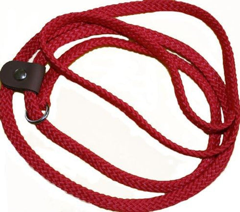 Lone Wolf Slip Lead with Leash and Collar for Pets, 1/4 by 6-Feet, Red