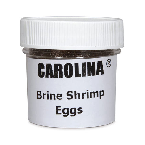 Brine Shrimp (Artemia) Eggs, 1 Oz