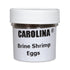 Brine Shrimp (Artemia) Eggs, 1 Oz