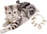 Dog Pearl Collars, Princess Bow Necklace Pet Pearl Necklace, Cute Collar for Dog Cat, Neck Strap for Puppy Accessories