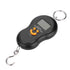 Portable LCD Display Digital Fishing Hanging Scale, Electric Weighing Scale for Home and Fishing