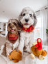 Midlee Large Thanksgiving Turkey Dog Toy - Stuffed Squeaky Pet Toy