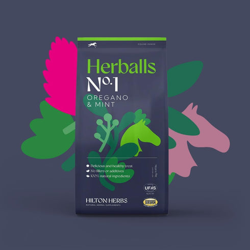 Hilton Herbs 1.1 lb Herballs All Natural Horse Treat with Oregano and Mint
