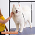 H-Shape Dog Grooming Arm with Clamp, 33" Height Adjustable and 38" - 50" Width for Small/Medium/Large Dogs
