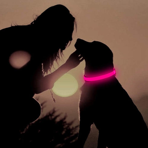 LED Dog Collar, USB Rechargeable Light Up Safety Collar, Adjustable Comfortable Soft Mesh for Small Medium Large Dogs