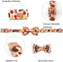 Lionheart Glory Turkey Dog Bow Collar, Bowtie Pet Gift Thanksgiving Collar for Small Dog