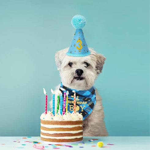 Mihachi Dog Birthday Party Supplies - Bandana and Hat with Number, Triangle Scarf for Decoration Gift for Small Medium
