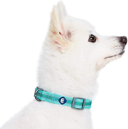 Blueberry Pet Essentials Small Dog Collar - Adjustable Classic Solid Color Nylon, Reflective Minty Green for Small Dogs