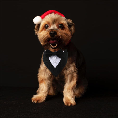Dog Wedding Bandana, Formal Adjustable Pet Collar with Bow for Small, Medium, Large Dogs, Birthday Gifts (Small, Black)