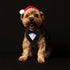 Dog Wedding Bandana, Formal Adjustable Pet Collar with Bow for Small, Medium, Large Dogs, Birthday Gifts (Small, Black)