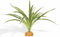 WOLEDOE Artificial Spider Plants, Reptile Terrarium Decor, Bearded Dragon Tank Accessories fit Crested