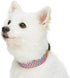Blueberry Pet Multicolor Geometric Squares Dog Collar - Genuine Full Grain Leather & Polyester Combo, Large
