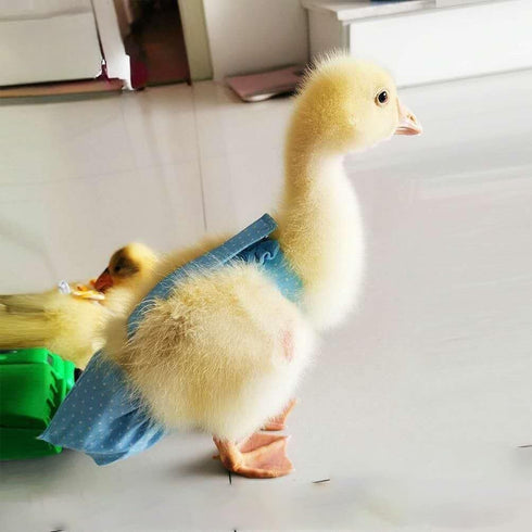 (3.3-8.8 lbs))(Pink (0.55-1.65 lbs)) Duck Diapers Adjustable Reusable Pants for Pet Ducks, Indoor Use, Fits Call Ducks
