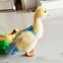 (3.3-8.8 lbs))(Pink (0.55-1.65 lbs)) Duck Diapers Adjustable Reusable Pants for Pet Ducks, Indoor Use, Fits Call Ducks