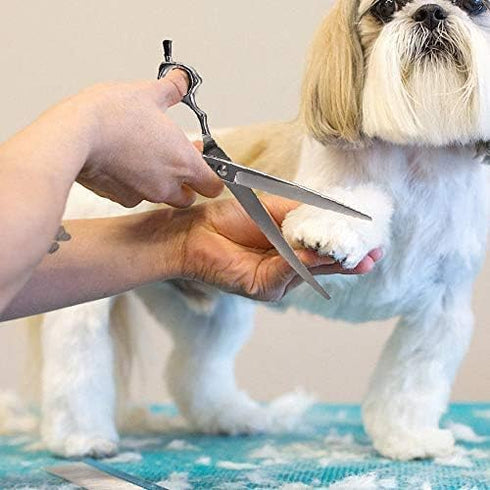 Grooming Pet Shear, 6.5 Inch Downward Curved Scissors for Cat and Small Dog Trimming, Designed for Professional Groomers