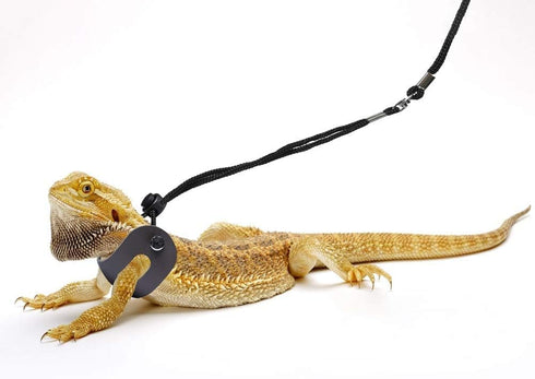 Bearded Dragon Harness and Leash - Adjustable (S,M,L, 3 Pack) - Soft Leather Reptile Lizard Leash for Small Pets