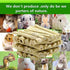 150G Rabbit Chew Toys, Rabbit Treats from Sweet Bamboo, Guinea Pig Chew Toys for Clean Teeth and Healthy Gums