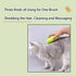 Pet Grooming Brush for Dogs, Cats, Horses, Puppies, Rabbits and More in Green