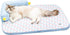 Lunale All-Season Ice Fabric Cat Bed with Cushioned Pillow/Play Ball/Washable Mat for Cats,