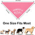 ZBBFSCSB Promoted to Big Sister Pink Dog Bandana, Photoshoot Prop Accessory for Pregnancy Announcement Birthday Party