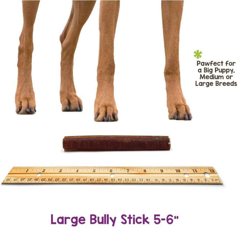 Nature Gnaws Bully Sticks for Dogs, 5-6" (1Lb) - Mixed Thickness, Long Lasting Natural Beef Chew Bones for Aggressive
