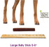 Nature Gnaws Bully Sticks for Dogs, 5-6" (1Lb) - Mixed Thickness, Long Lasting Natural Beef Chew Bones for Aggressive