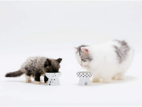 Necoichi Raised Stress Free Cat Food Bowl, Elevated, Dishwasher and Microwave Safe, Cat Dots, Mini