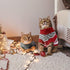 2 Pieces Christmas Cat Dog Sweater - Holiday Sweater for Small Dogs - Warm Reindeer Snowflake Knitwear