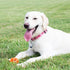 Chuckit Air Fetch Ball Dog Toy, Extra Large 3.5 Inch Diameter for Dogs Over 100 lbs