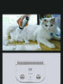 Detachable Pet Dog Grooming Clipper Blades, Compatible with Andis Size-7FC, Oster A5, Wahl KM Series Clippers
