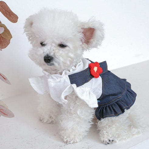 Pet Dress - Sweet Flower Small Dog Skirt, Tutu Clothing for Puppies and Cats for Spring Summer (Blue, M)