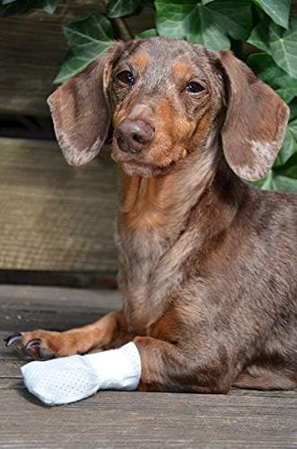 Pack 12-Pack) Medimitt Paw Bandages for Dogs, Cats and Pets Stretchy Medical Booties, First Aid for Paws Non Slip, Non