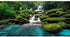 AWERT 72x16 inches Durable Polyester Waterfall Terrarium Background, Tropical Rainforest Aquarium Decor