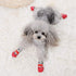 Dog Cat Boots Shoes Socks - Adjustable Waterproof Breathable Anti-Slip Sole for Tiny Dogs (M, Red)
