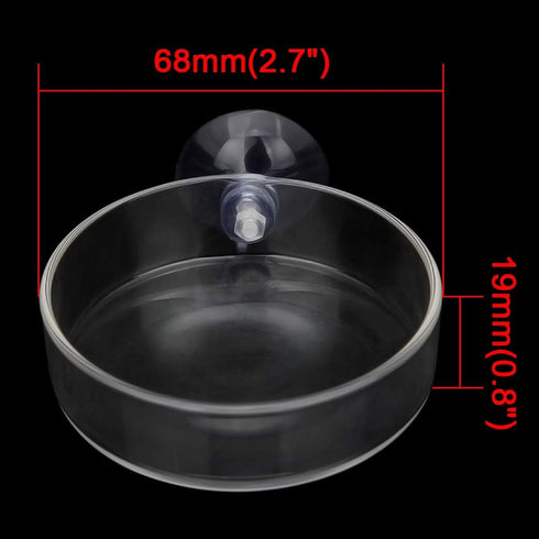 Senzeal 2PCS Shrimp Feeding Dish, Glass Aquarium Fish Tank Reptiles Round Feeder Bowl with Suction Cup
