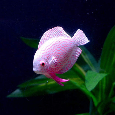 Tnfeeon 4PCS Luminous Simulation Fish, Colorful Silicone Floating Tropical Fish Aquarium Decoration Ornament