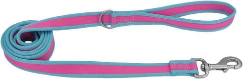 Coastal Pro Reflective Dog Leash - 6 Foot with D-Ring - Fuschia with Teal - 3/4” x 6’