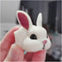 Opaeroo Rabbit Designs Hermit Crab Shells for Home Decorations Hermit Crab Supplies and