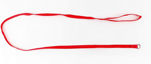 Midlee 4 Foot Dog Kennel Slip Lead - Heavy Duty Nylon Pack of 10