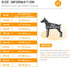 Dog Collars Martingale Adjustable Metal Necklace Collar for Small Dogs, 18in, 2.5mm
